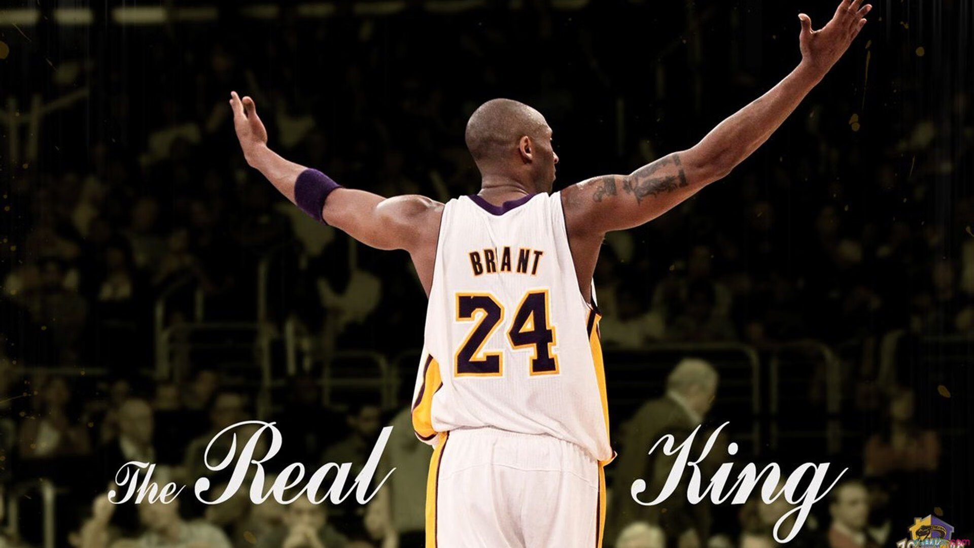 爱游戏在线-霍勒迪奥运前夜接管比赛,独行侠斩落爵士背后的国家使命